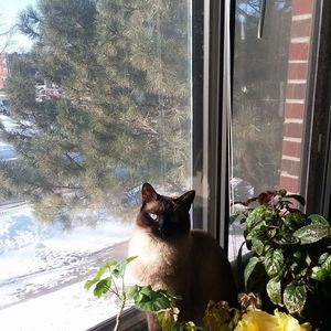 Meet your Posher, Suzanne